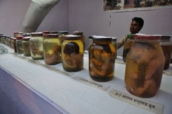 Genetic-Modification-Gone-Wild-10-Signs-That-Our-World-May-Be-Destined-To-Resemble-A-Really-Bad-Science-Fiction-Movie-250×165