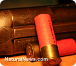 Shotgun-Shells-Close-Up
