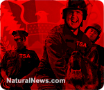 TSA-Police-State