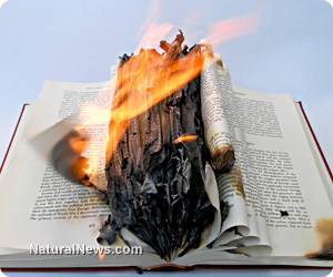 Book-Burning-Concept-Flame-Fire