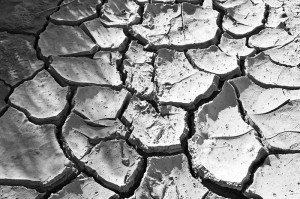 Drought-Photo-by-Bert-Kaufmann-300×199