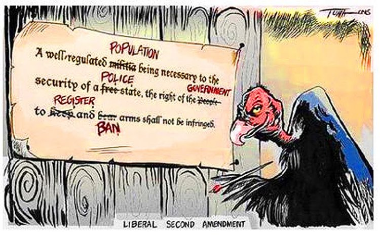 SecondAmendmentPostervulture