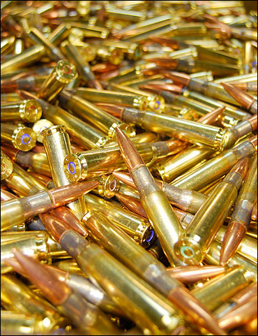 bullets