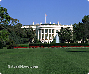 White-House-Lawn-Glass-American