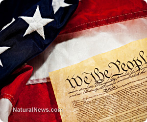 Constitution-We-The-People-American-Flag