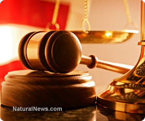 Close-Up-Judges-Mallet