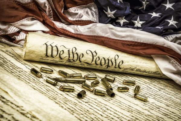 from-federalobserver.com_-600×400-1