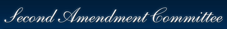 2nd_amend_com