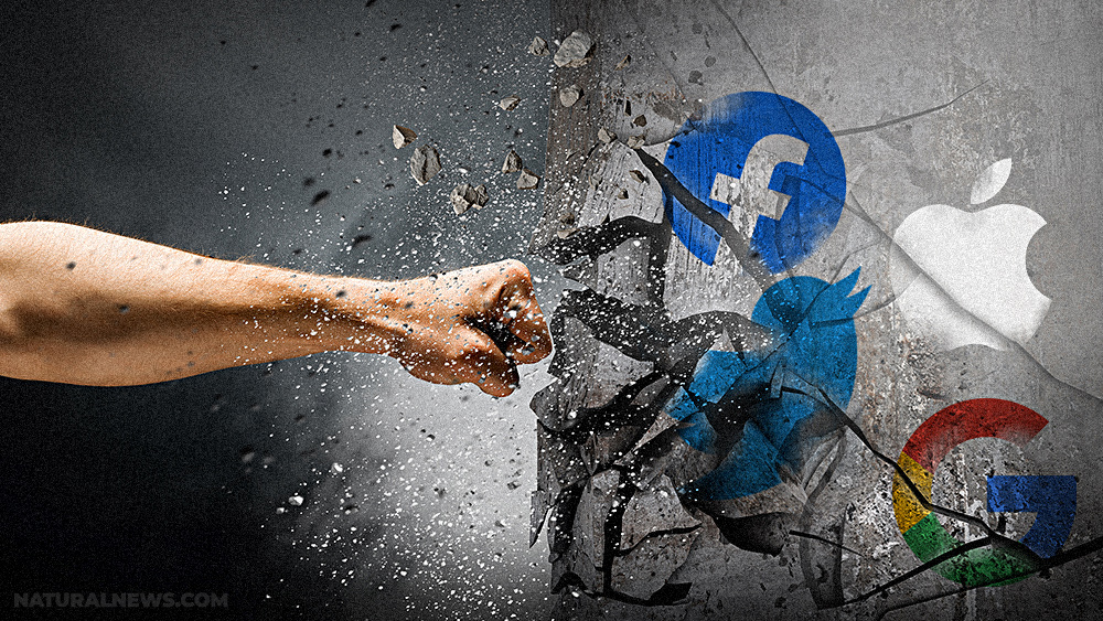 Social-Media-Twitter-Facebook-Google-Apple-Wall-Destroy