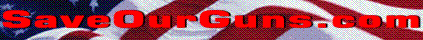save-our-guns