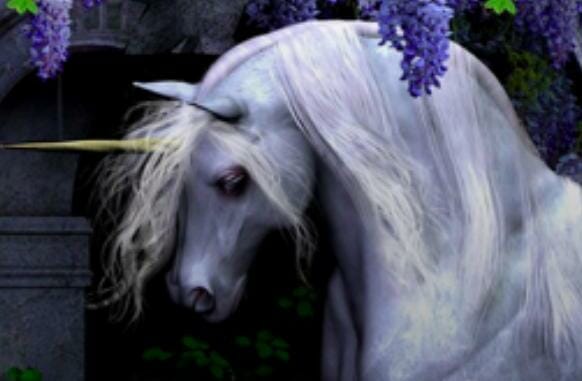 Unicorn
