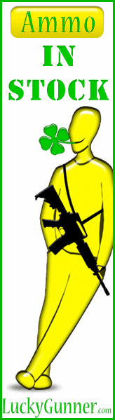 LuckyGunner.com_160x600_static