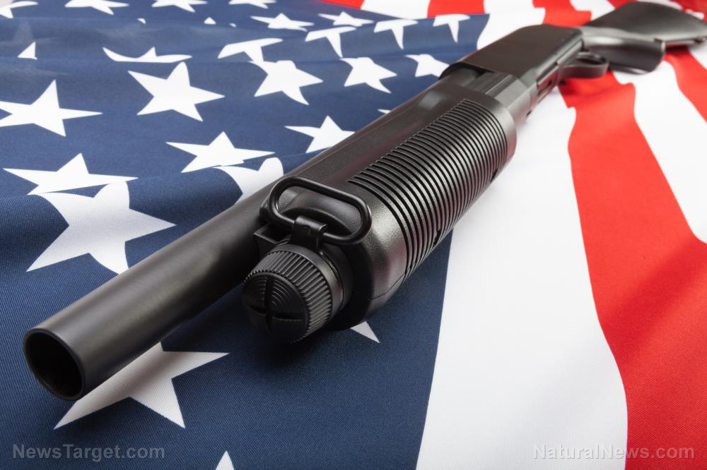 Shotgun-Usa-Flag-Symbol-Second-Amendment