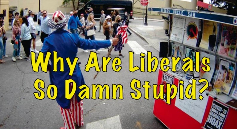 Why-are-Liberals-so-Stupid