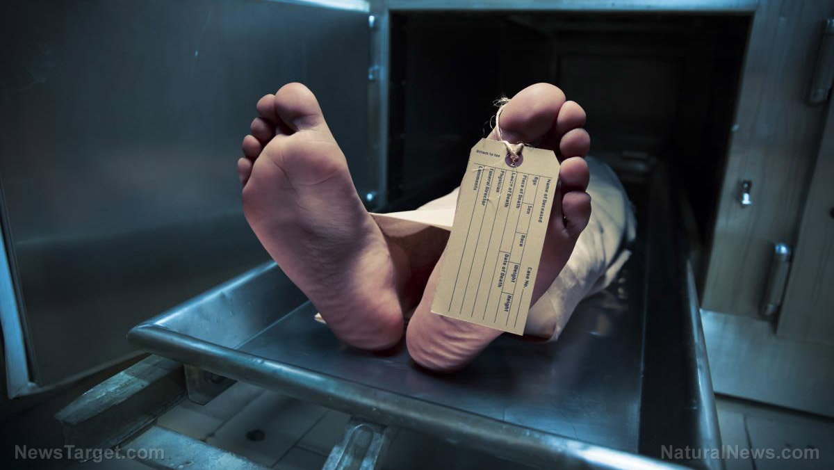 Dead-Morgue-Toe-Tag
