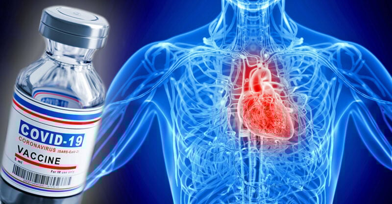 covid-vaccine-myocarditis-safety-signal-feature-800×417
