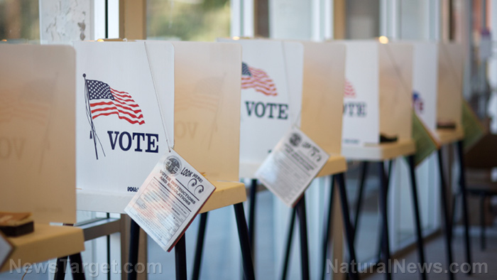 Voting-Booth-Election